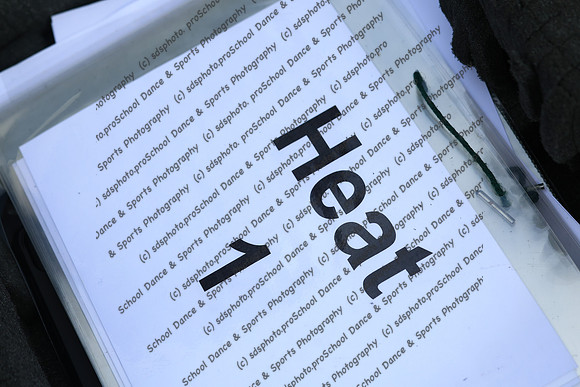 20258