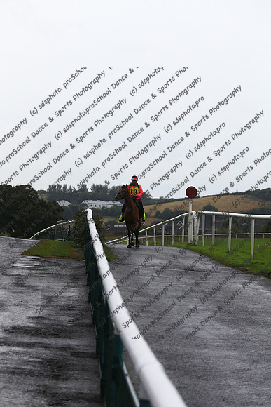 2008