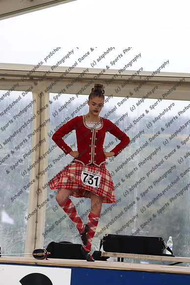 13019