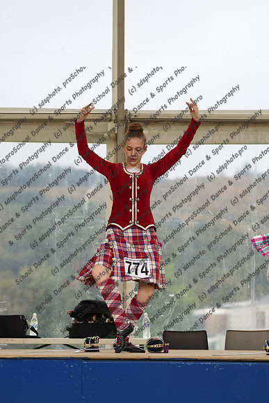 13262