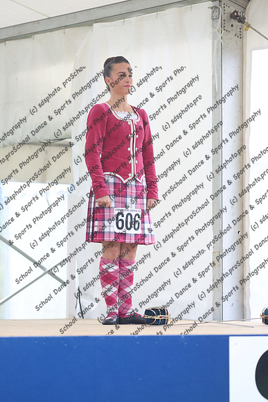 12008