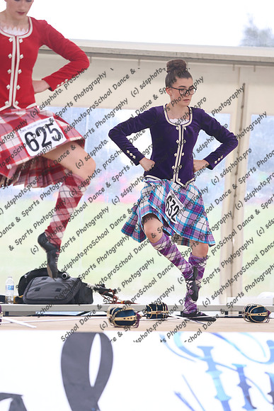 42031