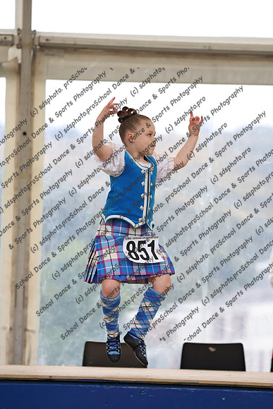 77036