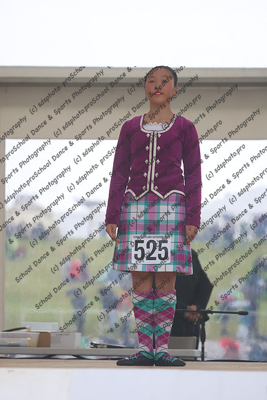 66003