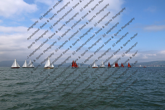 TPG_0265