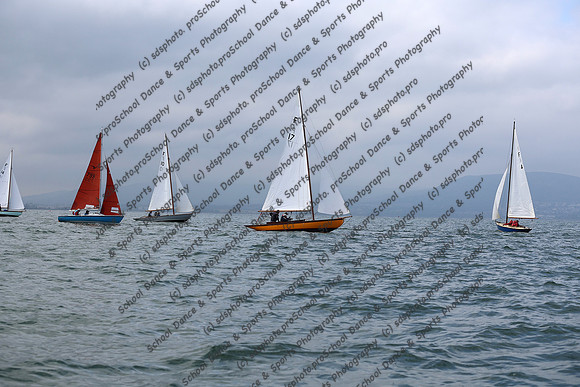 TPG_0264