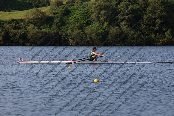 20229