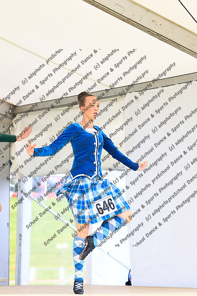 44019
