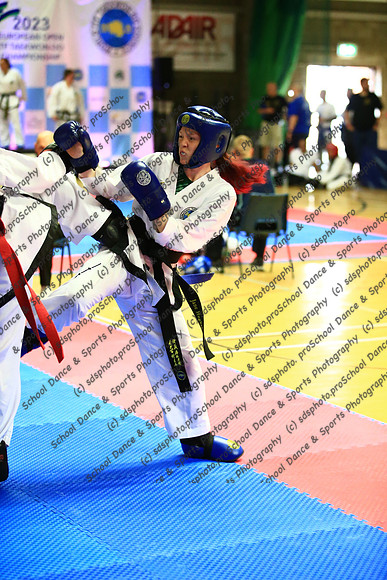 13831