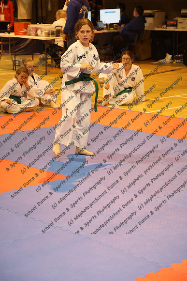24043