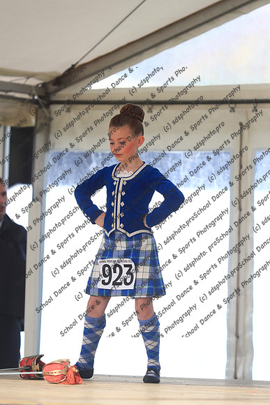 33037