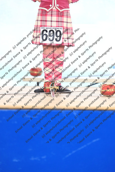 33005