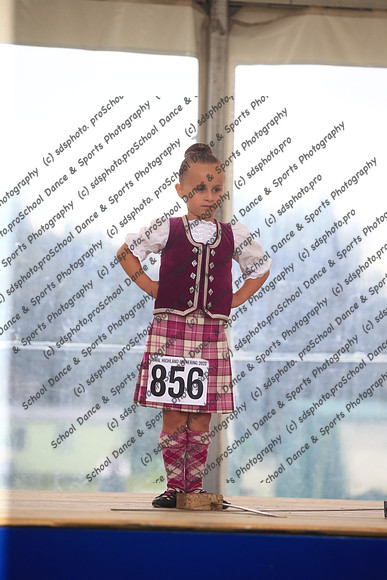 53004