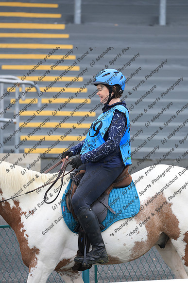 3008