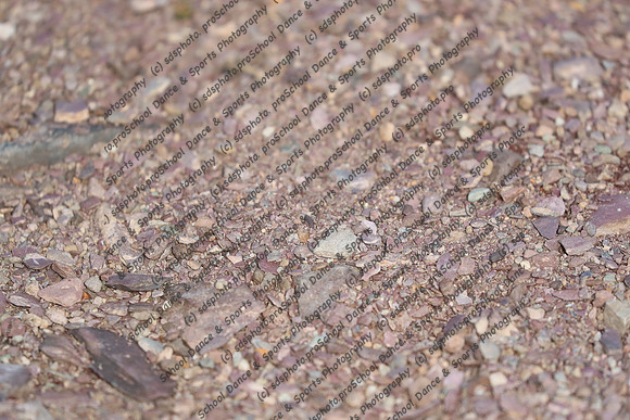 7011