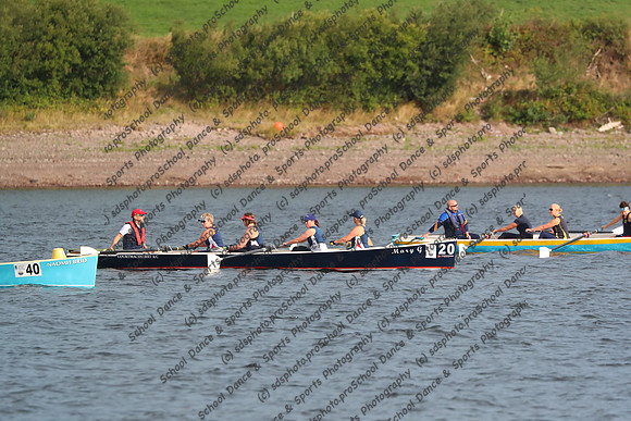 20116