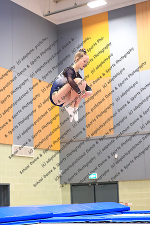 12019