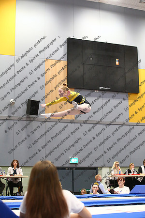 20062