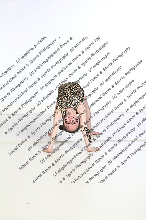 29031