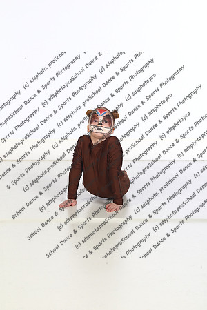 29038