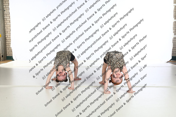 29041