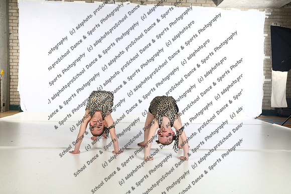 29049