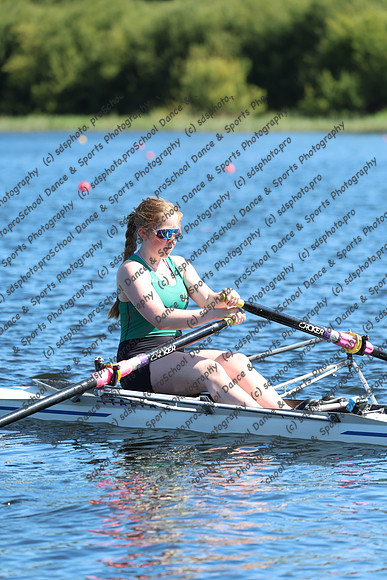 22254