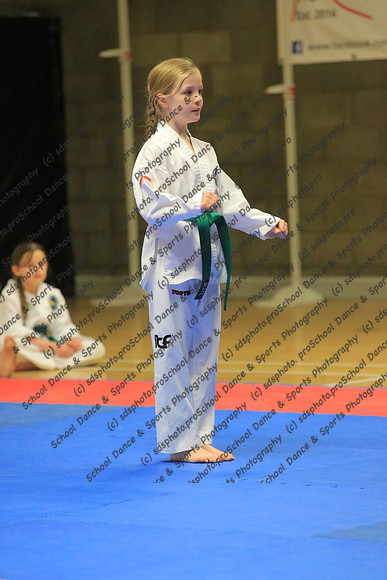 4068