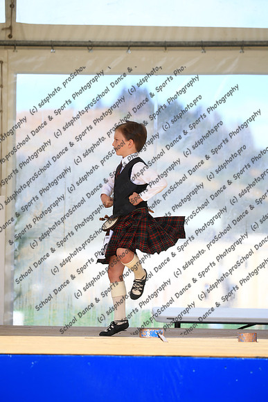 53005