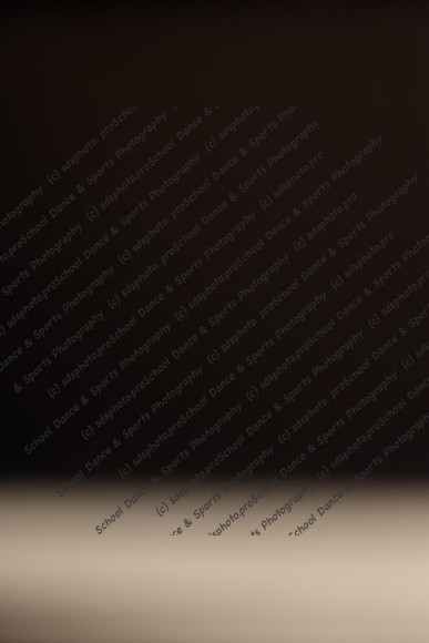 25419