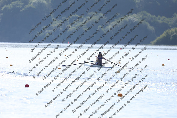 12026