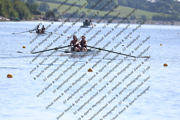 12161