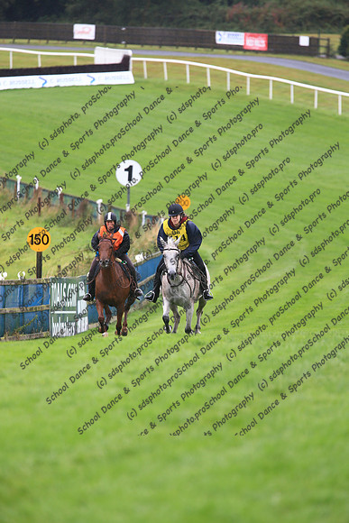 2316