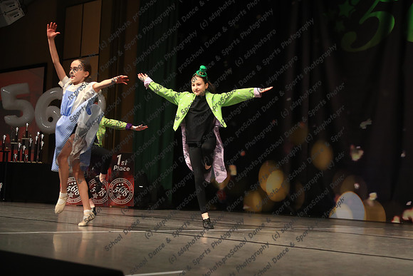 20049