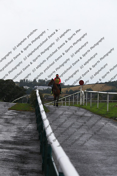 2009