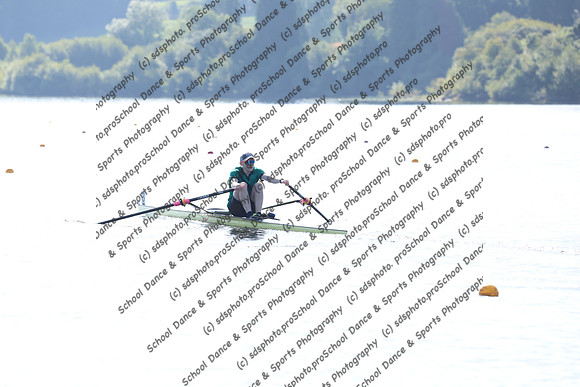 12015