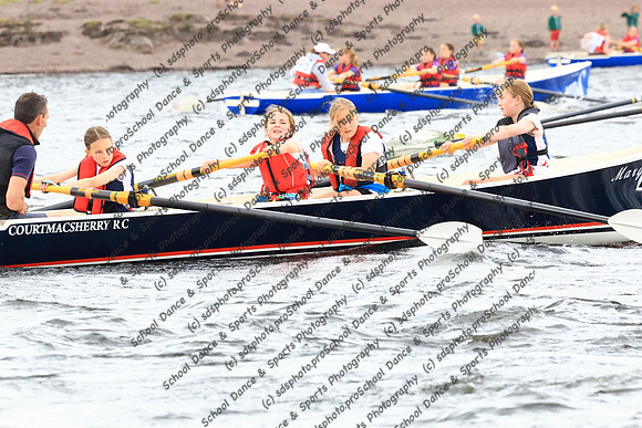 1733