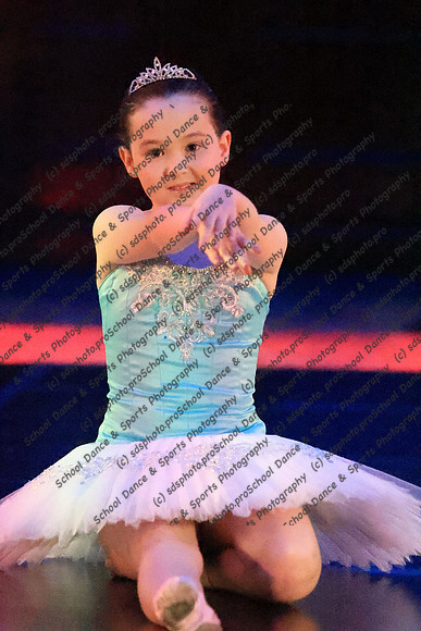 15658