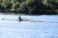 12007