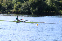 12006