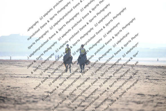 2003