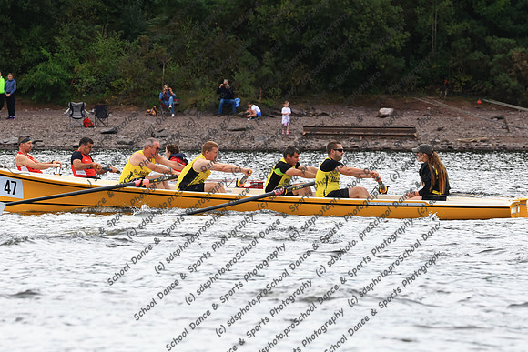 1281