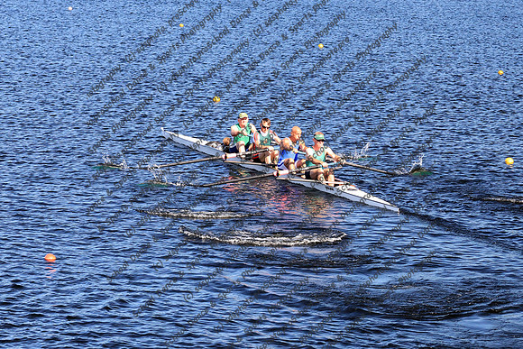 12006